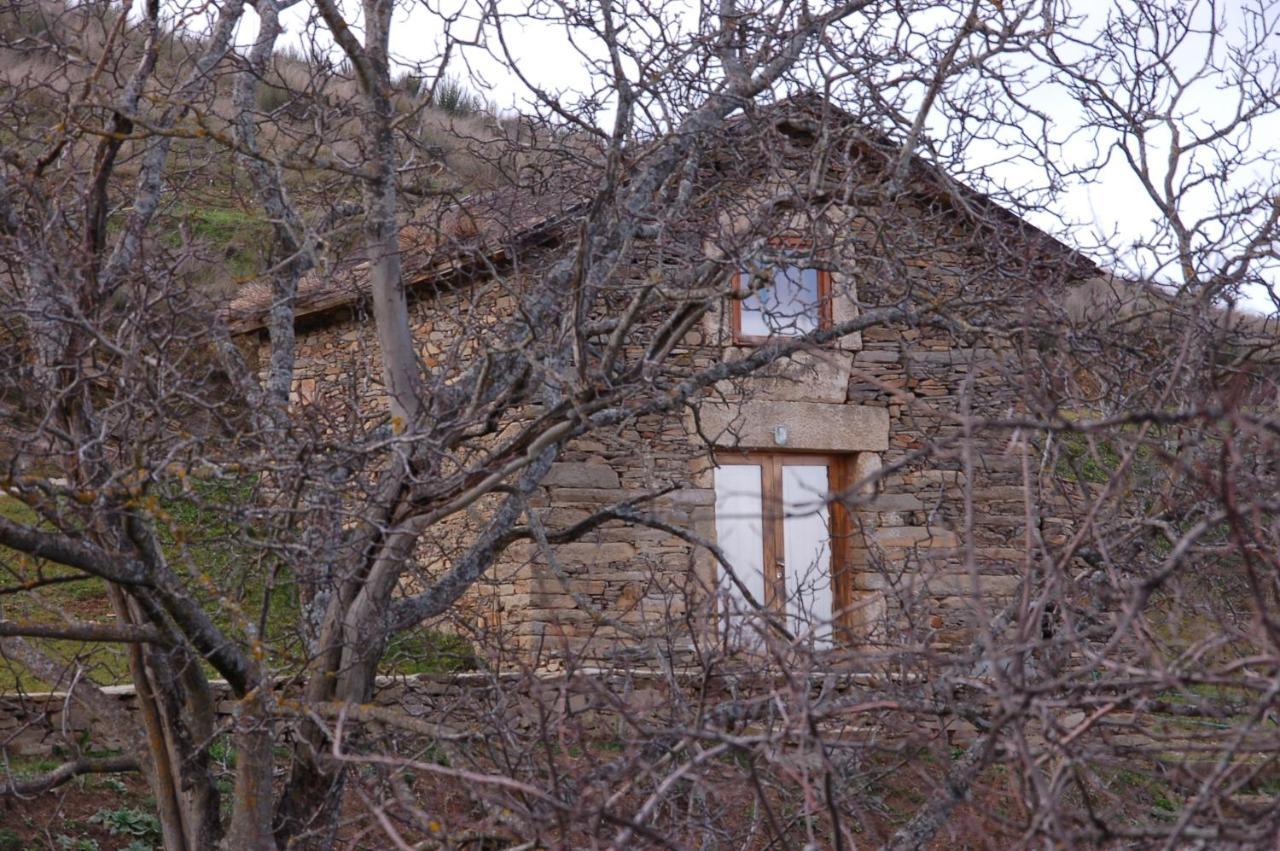 Quinta Da Alagoa Βίλα Santa Maria de Émeres Εξωτερικό φωτογραφία