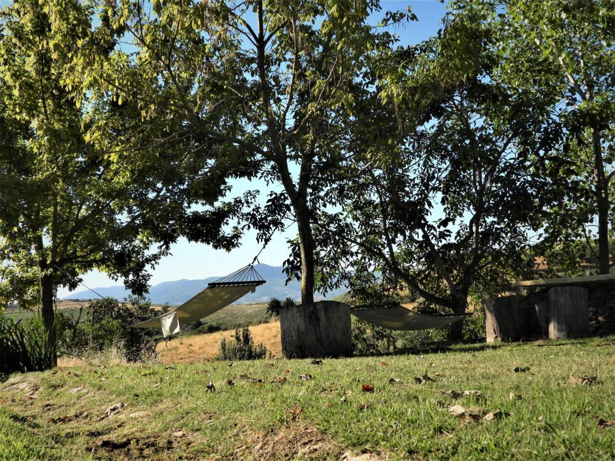 Quinta Da Alagoa Βίλα Santa Maria de Émeres Εξωτερικό φωτογραφία