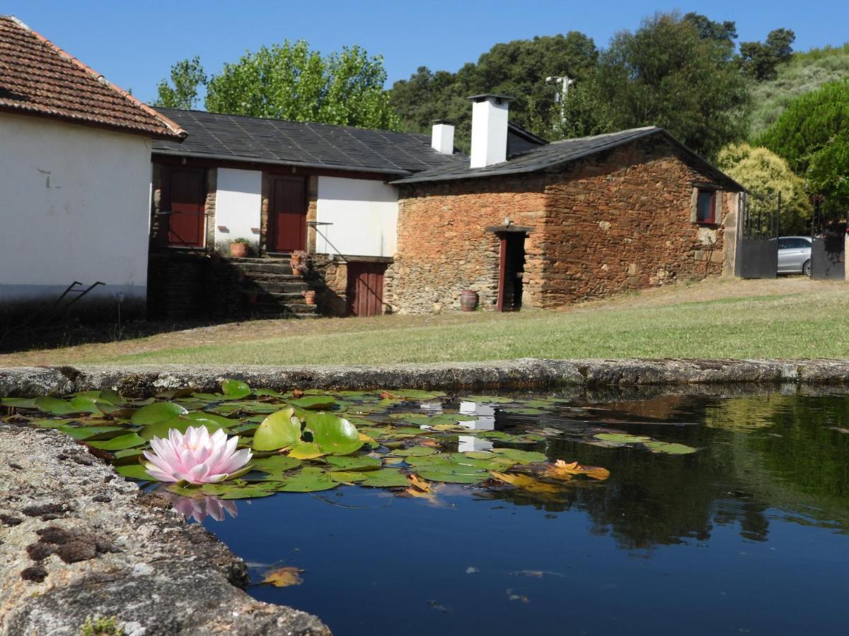 Quinta Da Alagoa Βίλα Santa Maria de Émeres Εξωτερικό φωτογραφία