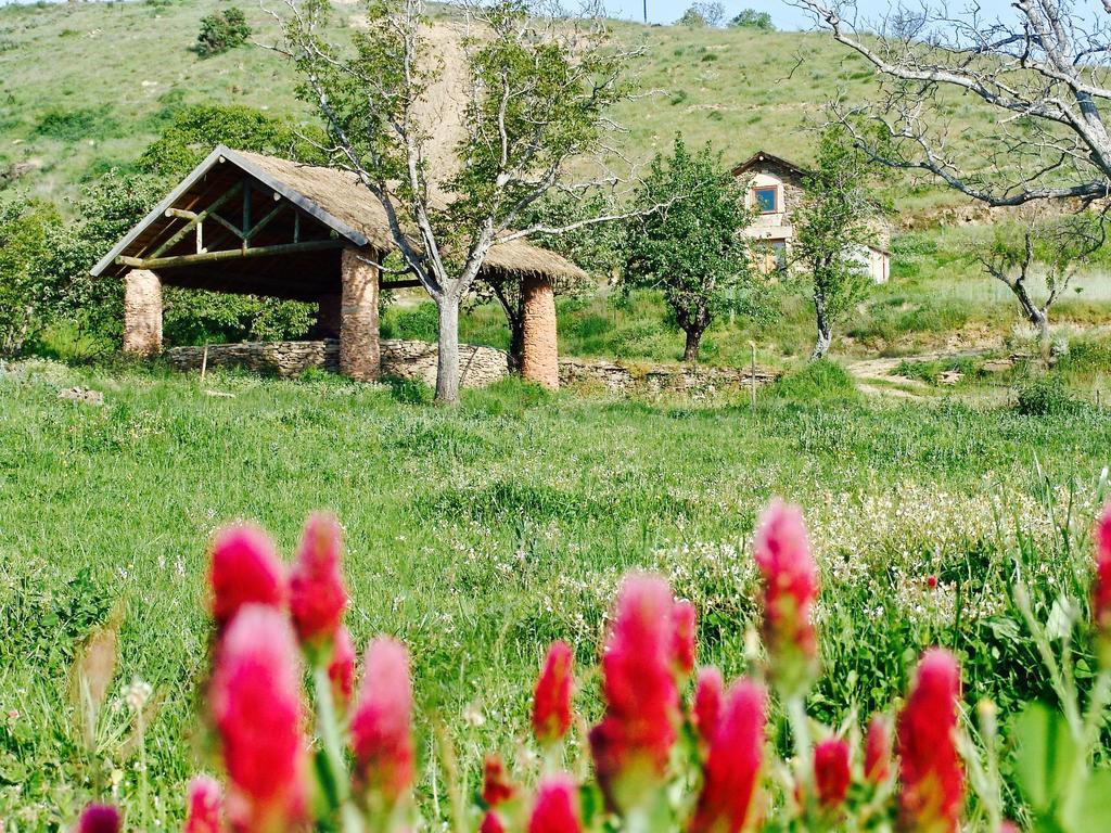 Quinta Da Alagoa Βίλα Santa Maria de Émeres Εξωτερικό φωτογραφία