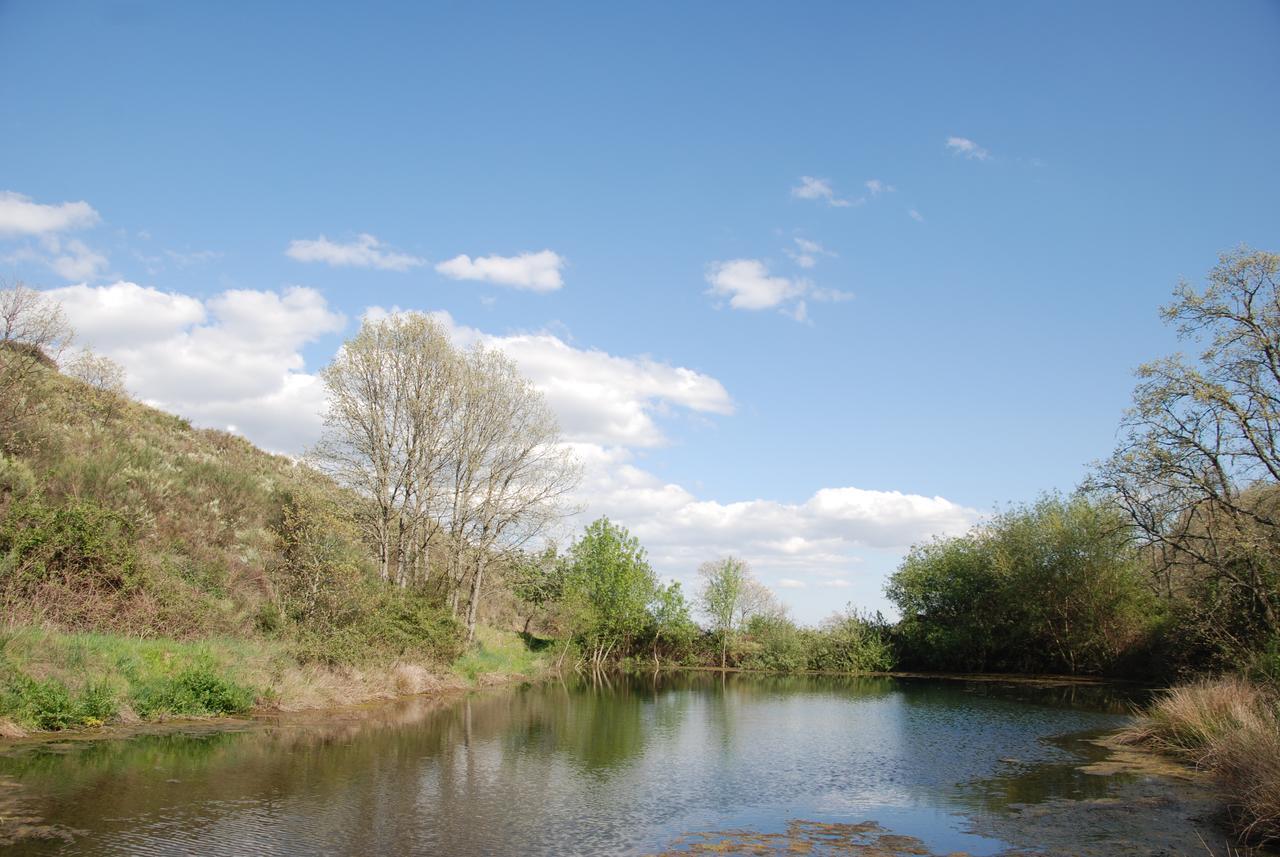 Quinta Da Alagoa Βίλα Santa Maria de Émeres Εξωτερικό φωτογραφία